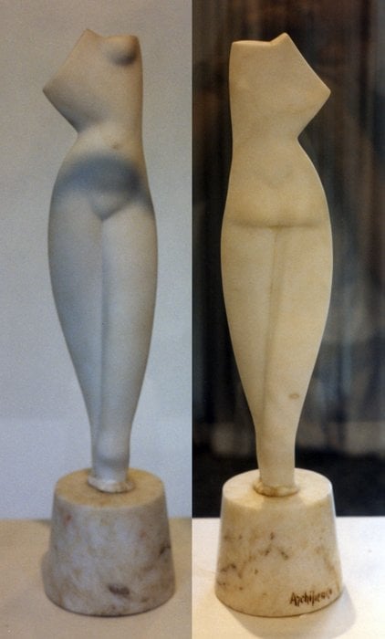Torso